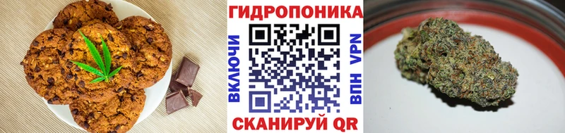 наркотики mega ONION Еда ТГК марихуана Нальчик