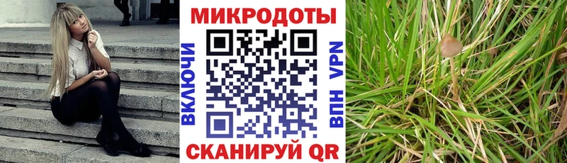 mega вход  Нальчик  Галлюциногенные грибы прущие грибы 