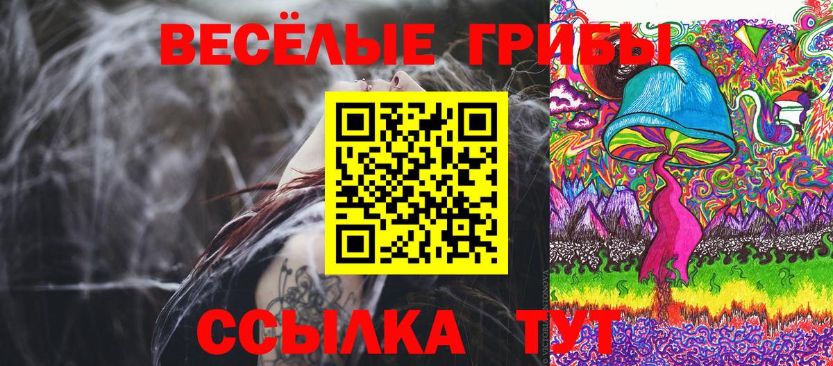 Псилоцибиновые грибы Psilocybine cubensis  Галлюциногенные грибы Psilocybe  Нальчик  Вход с VPN 