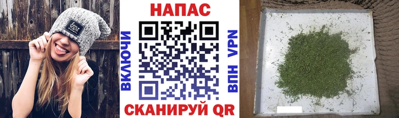 что такое наркотик площадка телеграм Марихуана гибрид Нальчик